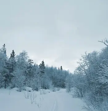 franklin rehabilitation