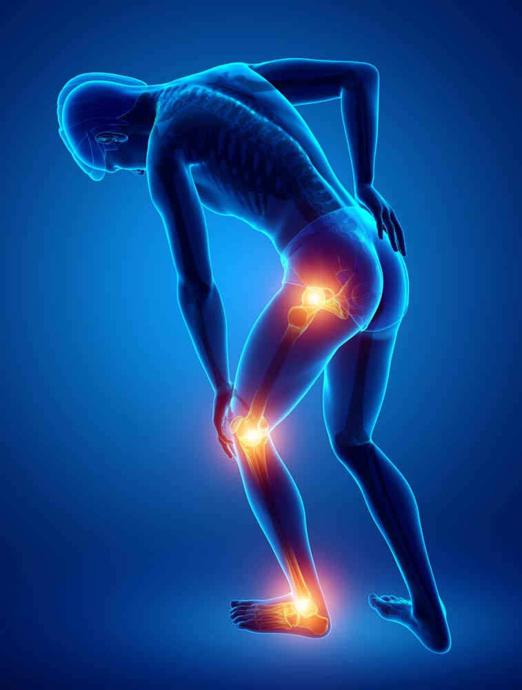 Movement Mechaniccs and Back Pain leg lower back pain physical therapy oakland ca SOL 603102659 1 Movement Mechaniccs and Back Pain