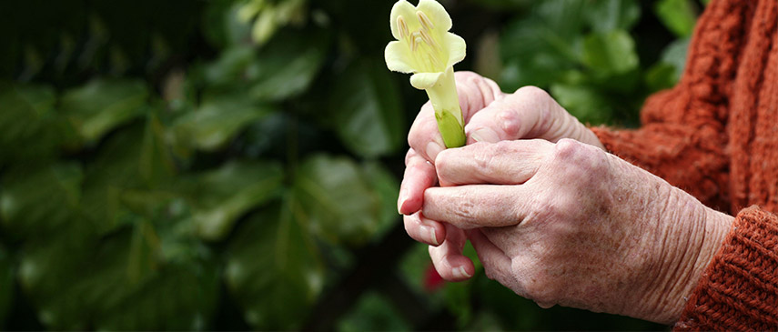 Natural Ways to Relieve Arthritis Pain arthrits Natural Ways to Relieve Arthritis Pain