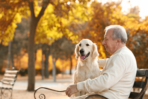 How long can it take for herniated lumbar discs to heal without surgery? shutterstock 535784200 2 How long can it take for herniated lumbar discs to heal without surgery?