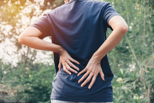 The 3 parts of your spinal anatomy that are likely behind your lower back pain shutterstock 1719448708 2 The 3 parts of your spinal anatomy that are likely behind your lower back pain