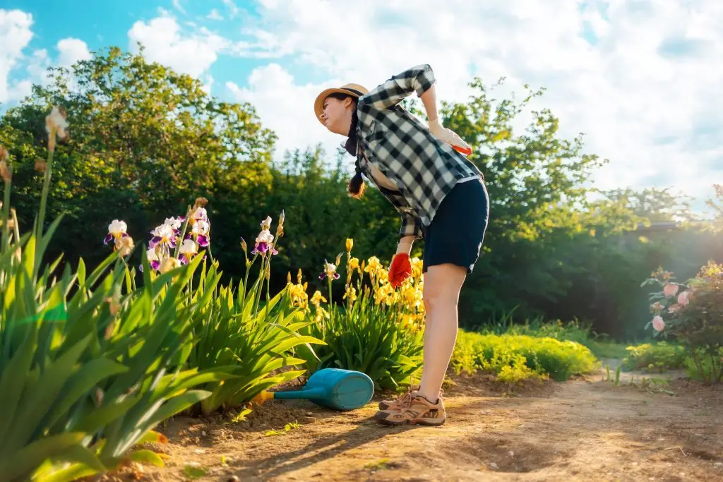 how to prevent back pain with simple movements back pain